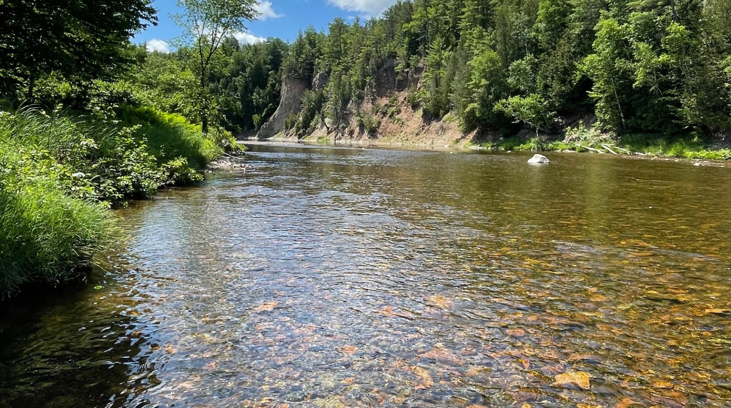 Jacquet River